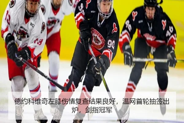德约科维奇左膝伤情复查结果良好，温网首轮抽签出炉，剑指冠军