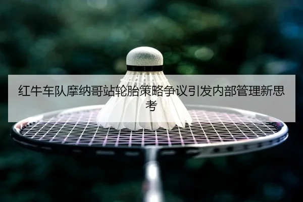 红牛车队摩纳哥站轮胎策略争议引发内部管理新思考