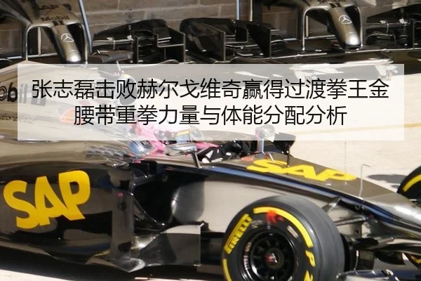 张志磊击败赫尔戈维奇赢得过渡拳王金腰带重拳力量与体能分配分析